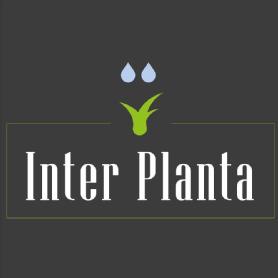 Imagen de Inter Planta
