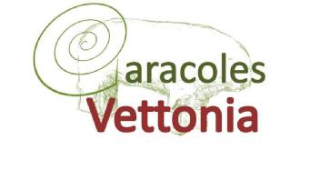 Imagen de CARACOLES VETTONIA