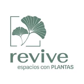 Imagen de REVIVE ESPACIOS CON PLANTAS