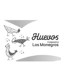 Imagen de HUEVOS COOPERATIVA LOS MONEGROS
