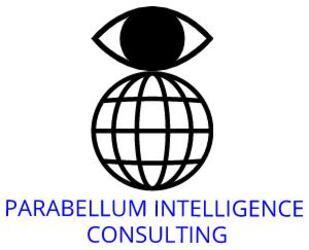 Imagen de PARABELLUM INTELLIGENCE CONSULTING