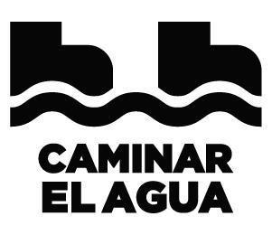 Imagen de CAMINAR EL AGUA