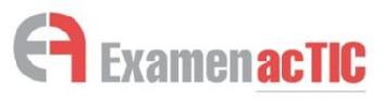 Imagen de EXAMENACTIC