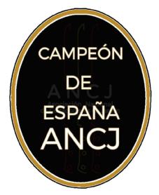 Imagen de CAMPEÓN DE ESPAÑA ANCJ ANCJ