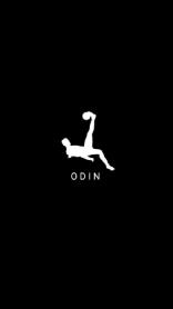 Imagen de ODIN
