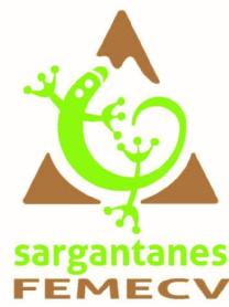 Imagen de SARGANTANES FEMECV