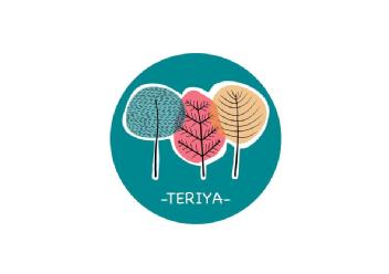 Imagen de TERIYA