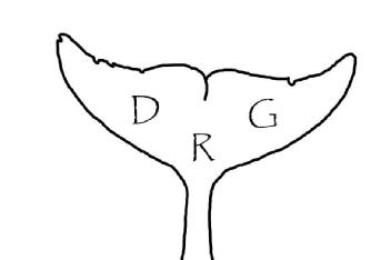 Imagen de DRG
