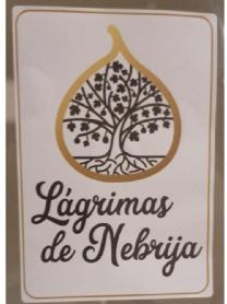 Imagen de LAGRIMAS DE NEBRIJA