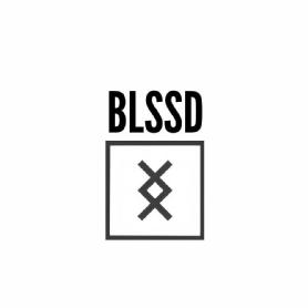 Imagen de BLSSD