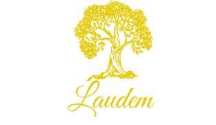 Imagen de LAUDEM