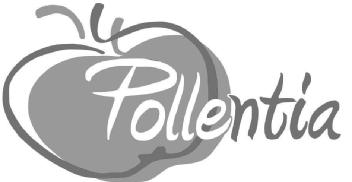 Imagen de POLLENTIA