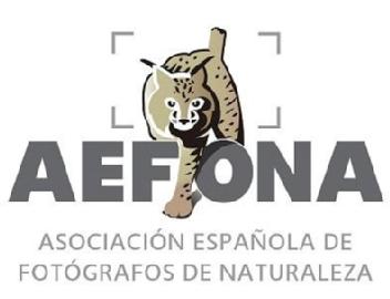 Imagen de AEFONA ASOCIACION ESPAÑOLA DE FOTOGRAFOS DE NATURALEZA