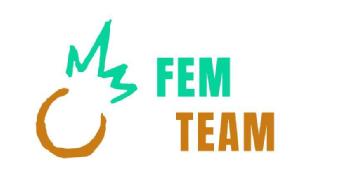 Imagen de FEM TEAM