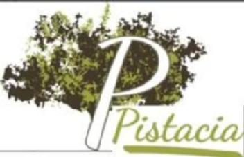 Imagen de P PISTACIA