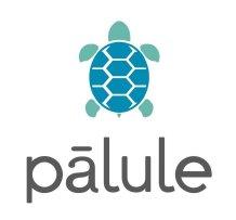 Imagen de palule