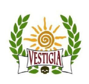 Imagen de VESTIGIA