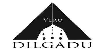 Imagen de VERO DILGADU