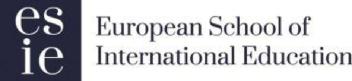 Imagen de ESIE EUROPEAN SCHOOL OF INTERNATIONAL EDUCATION
