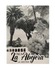 Imagen de Finca La Abejera La Orotava