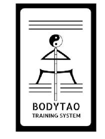 Imagen de BodyTao Training System