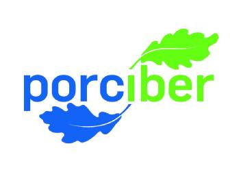 Imagen de PORCIBER