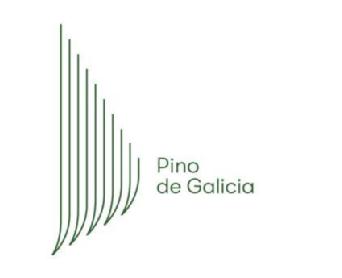 Imagen de PINO DE GALICIA