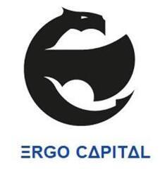 Imagen de ERGO CAPITAL