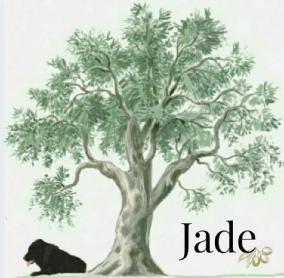 Imagen de Jade