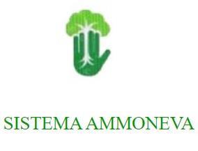 Imagen de SISTEMA AMMONEVA