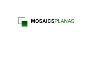 Imagen de MOSAICS PLANAS