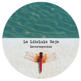 Imagen de La Libélula Roja Interespecies