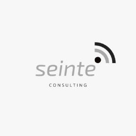 Imagen de SEINTE CONSULTING