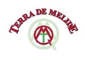 Imagen de TERRA DE MELIDE