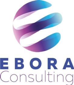 Imagen de EBORA CONSULTING