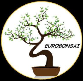 Imagen de EUROBONSAI