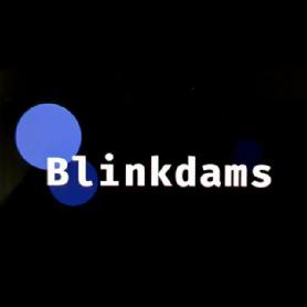 Imagen de Blinkdams