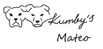 Imagen de KUMBY'S MATEO