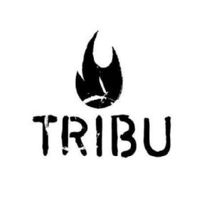 Imagen de Tribu