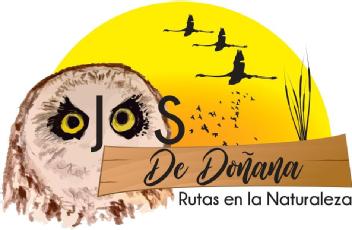 Imagen de Ojos de Doñana. Rutas en la Naturaleza