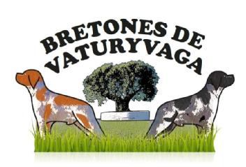 Imagen de BRETONES DE VATURYVAGA