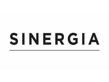 Imagen de SINERGIA