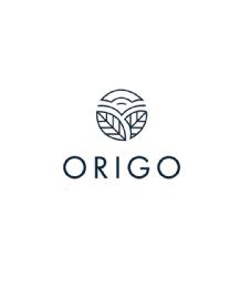 Imagen de ORIGO