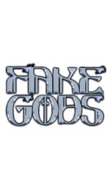 Imagen de FAKE GODS