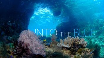 Imagen de INTO THE BLUE