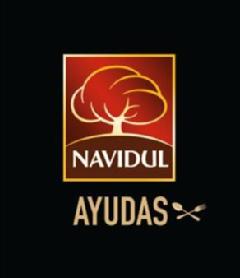 Imagen de NAVIDUL AYUDAS