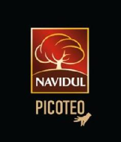Imagen de NAVIDUL PICOTEO