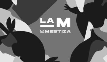 Imagen de LA M LA MESTIZA