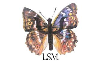 Imagen de LSM