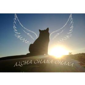 Imagen de ALOHA OHANA OHANA